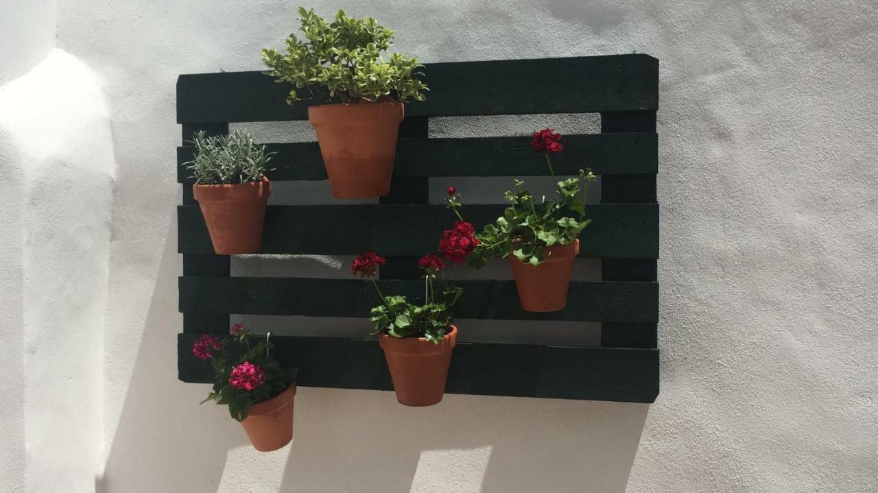 Pinheiro De Monsaraz-Casas Da Colmeia T2 Reguengos de Monsaraz Exteriér fotografie